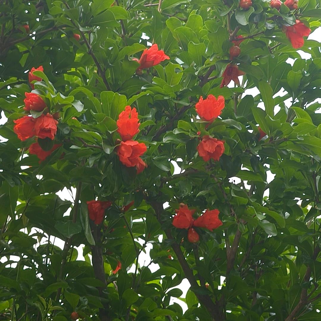 缘分加载中……99%