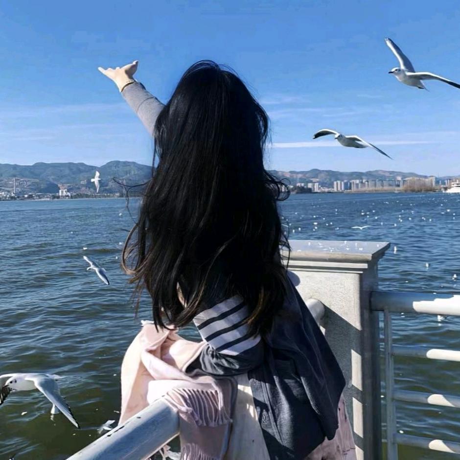 星星💫💫