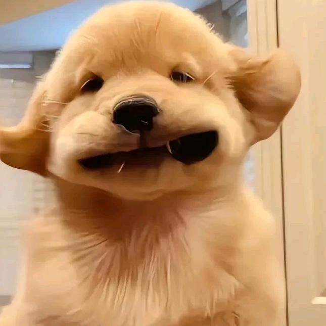 辉～