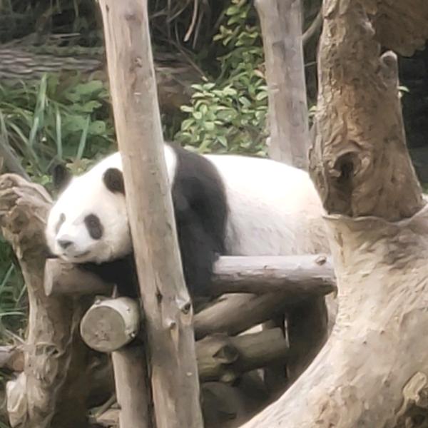 风浪越来大，鱼🐟越贵