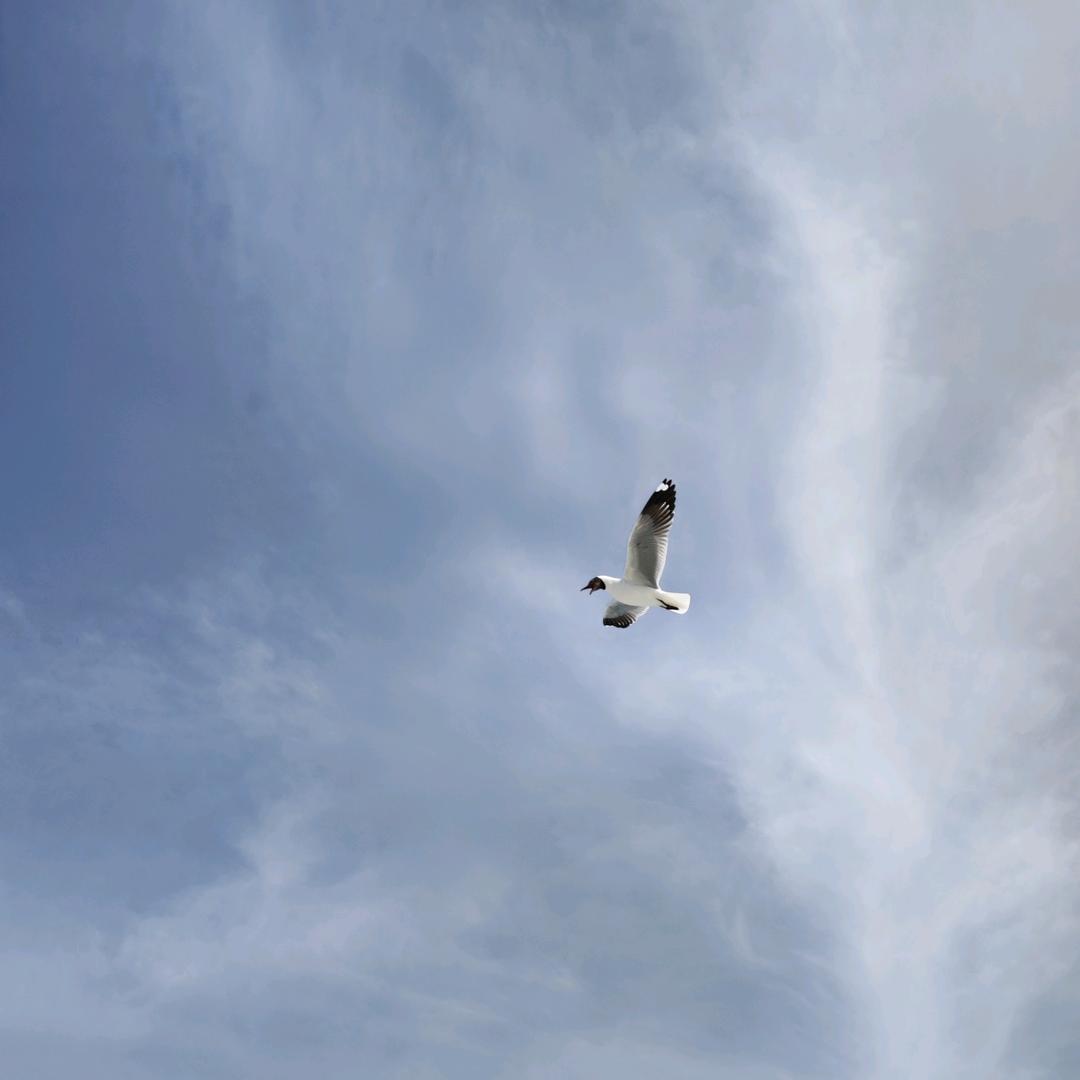〢又贝