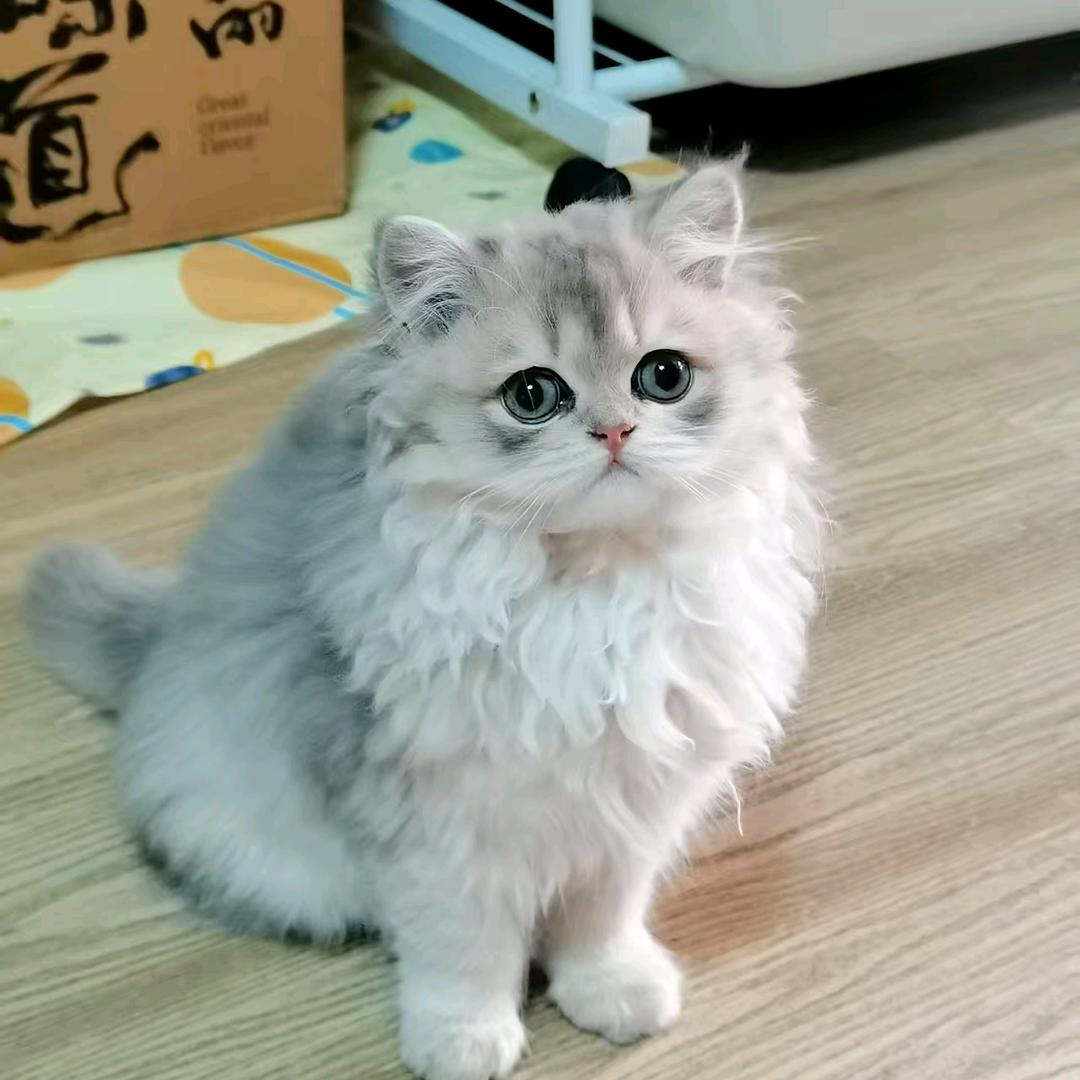 修车    日记