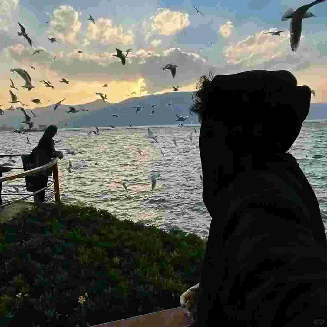 烟雨（三角洲行动）