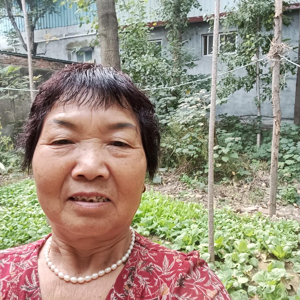 用户5733792915101