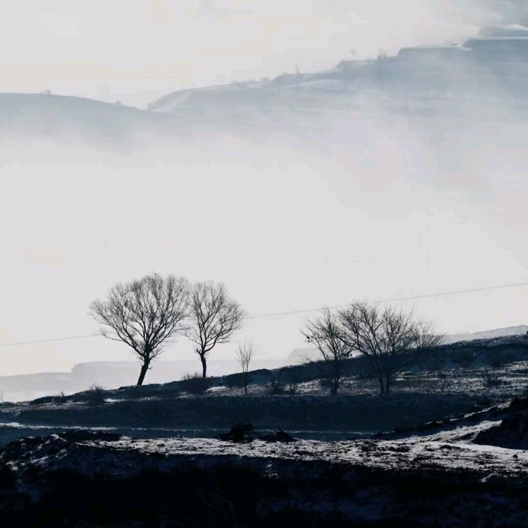 寻找