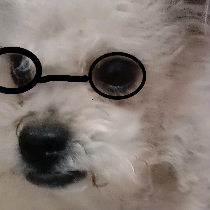 雪儿