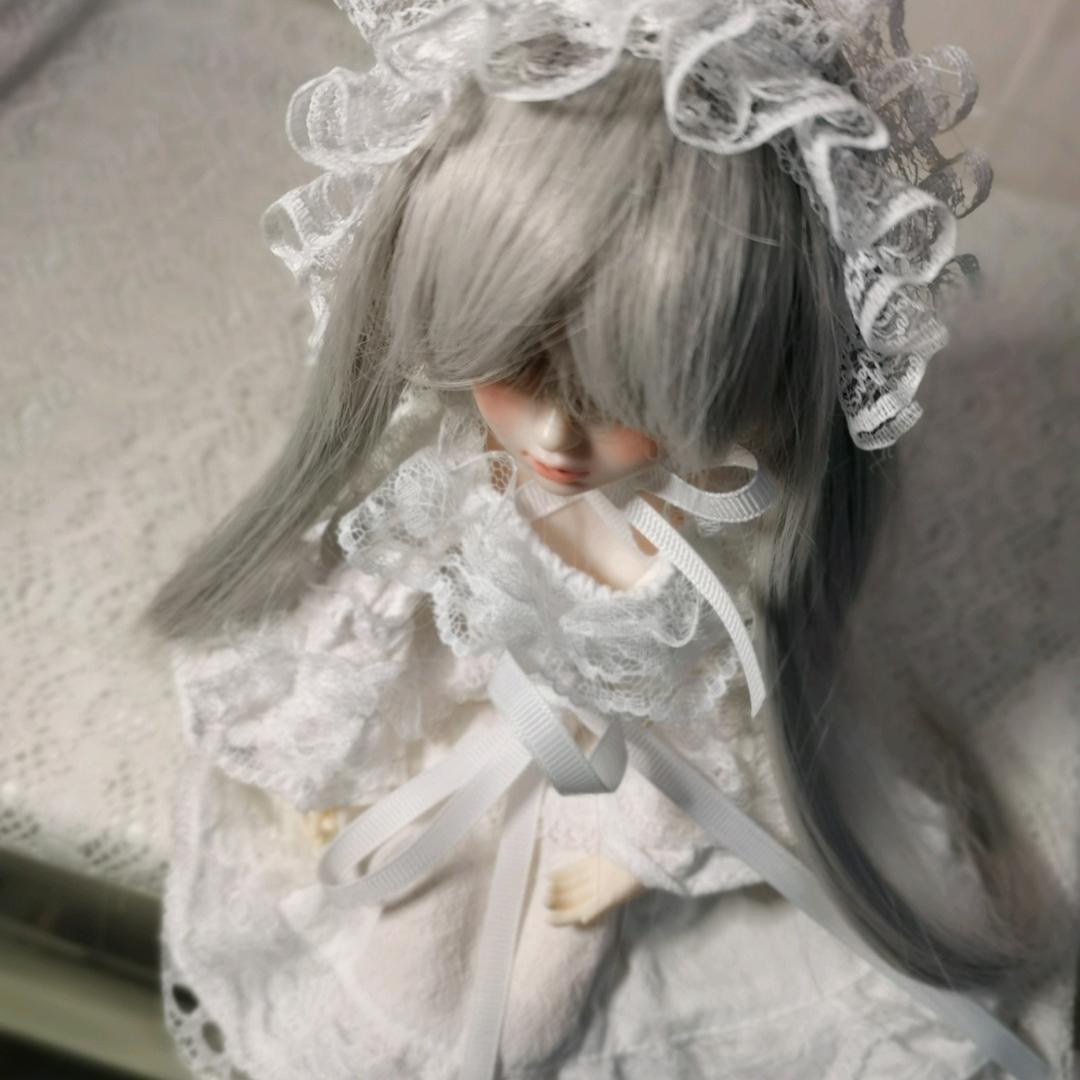 萨摩耶要睡觉🐈