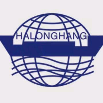 龙航国际