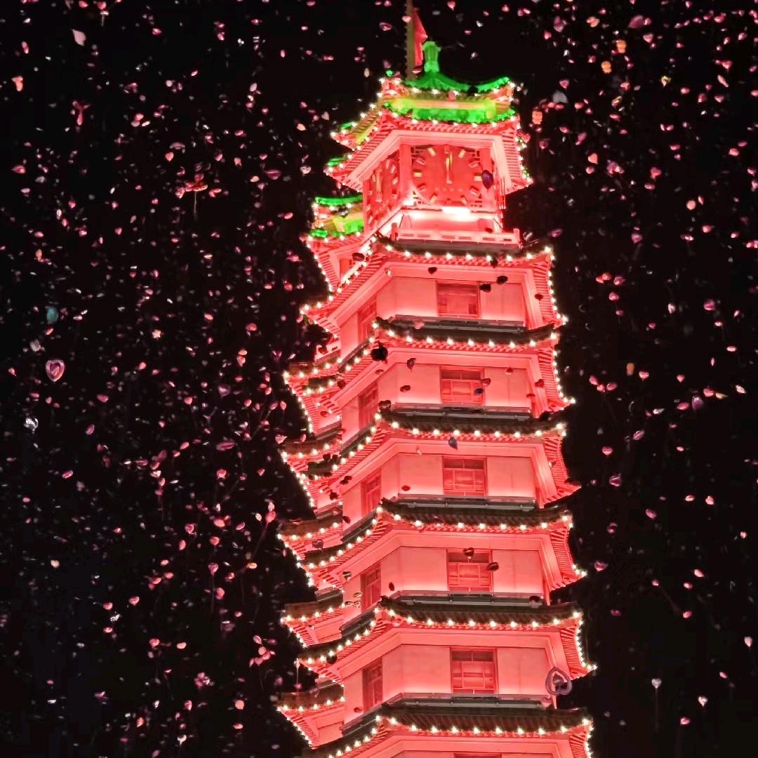 心心