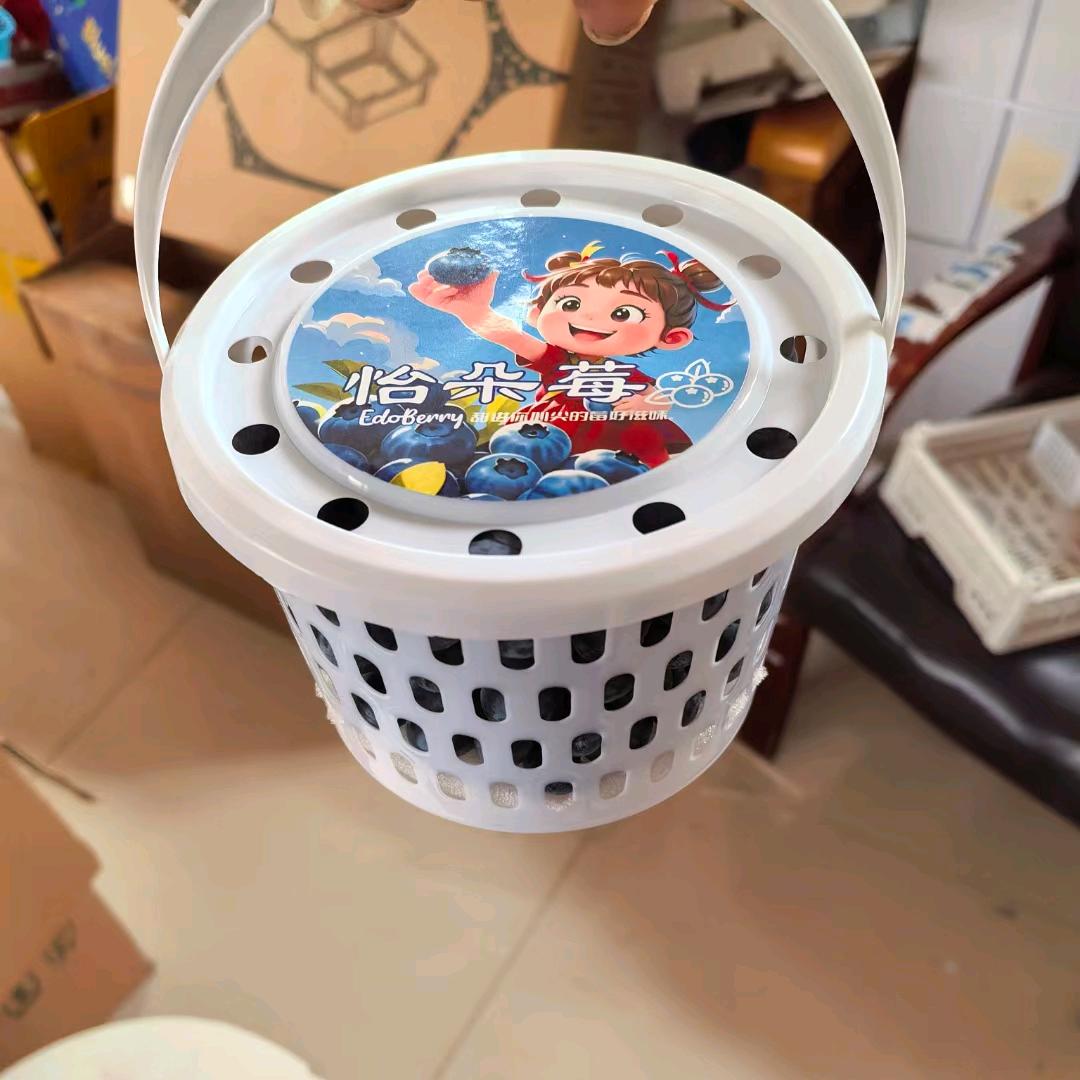 蓝莓盆采摘桶厂家