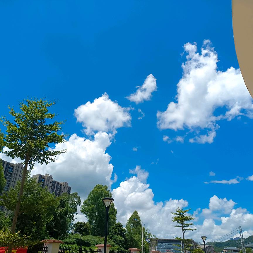 蓝天