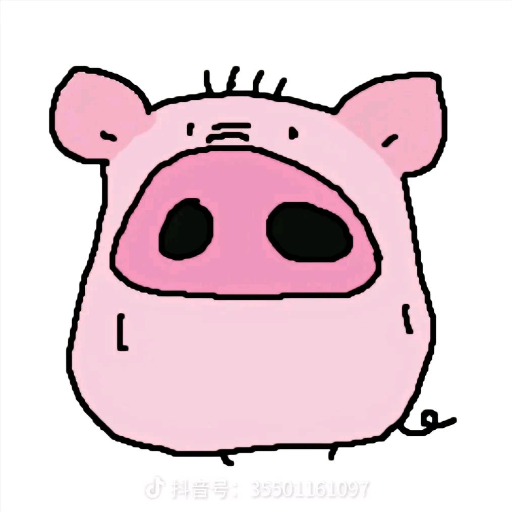 黄鱼头