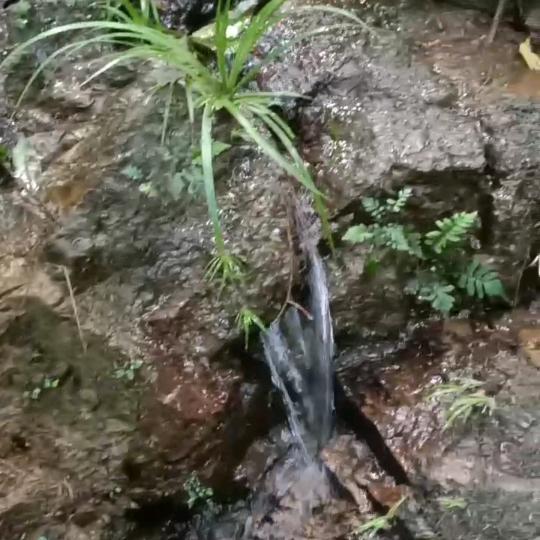 唐海群