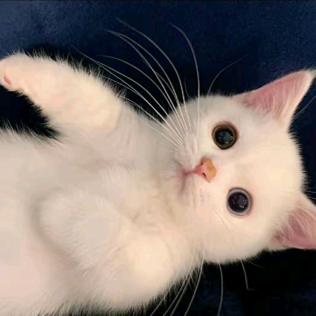 Mika