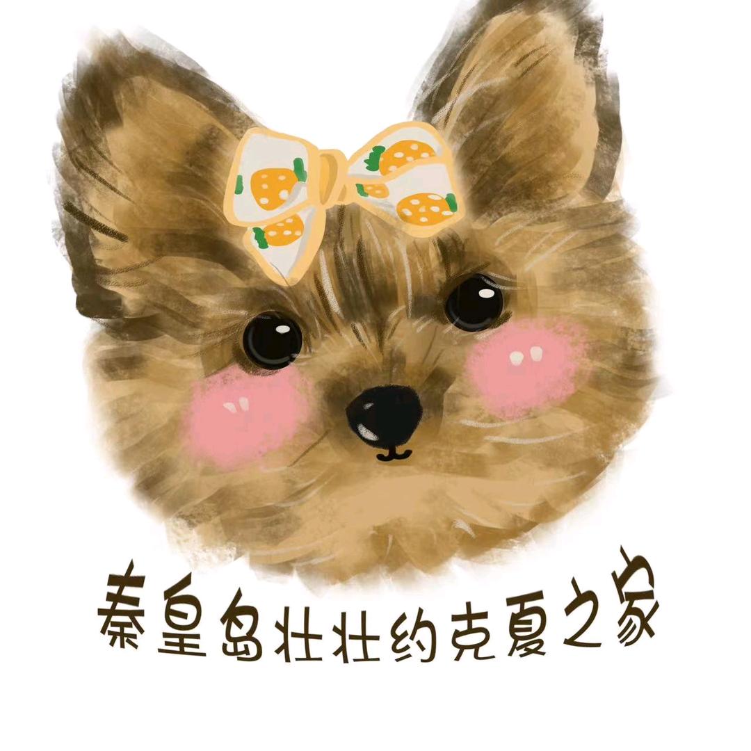 秦皇岛大壮约克夏（直播号）