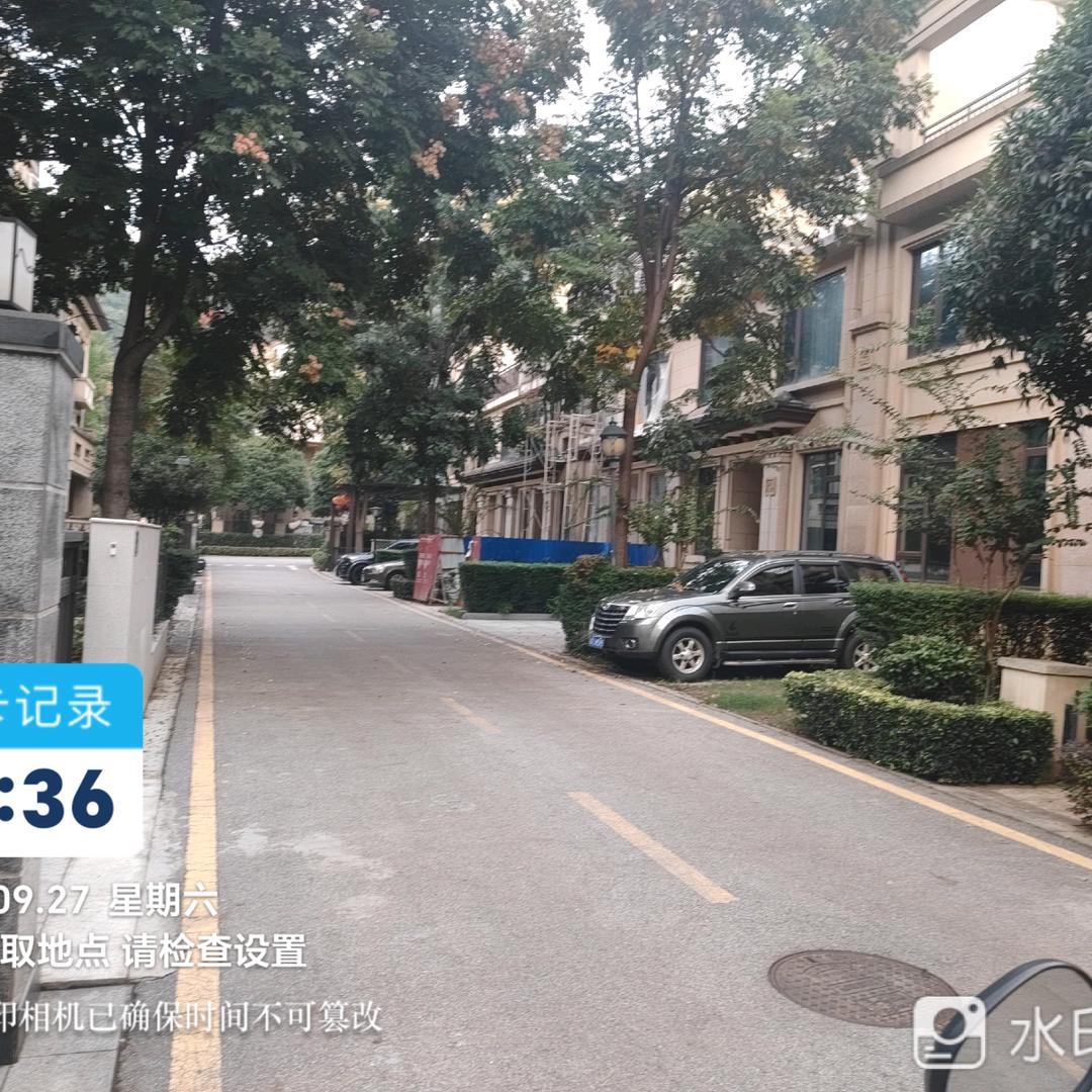 ⚜️单枪👨‍✈️匹马⚜️