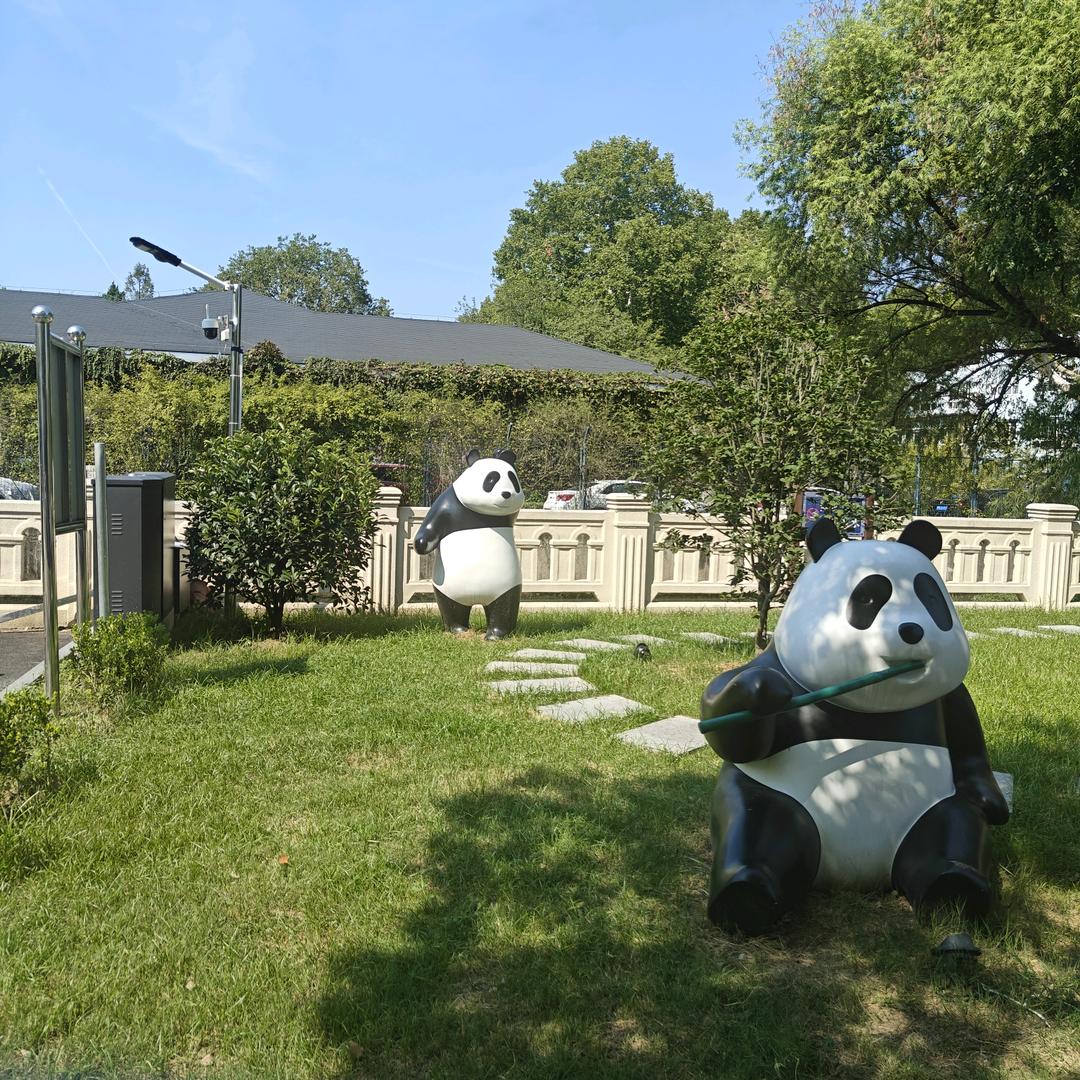 小怂夏