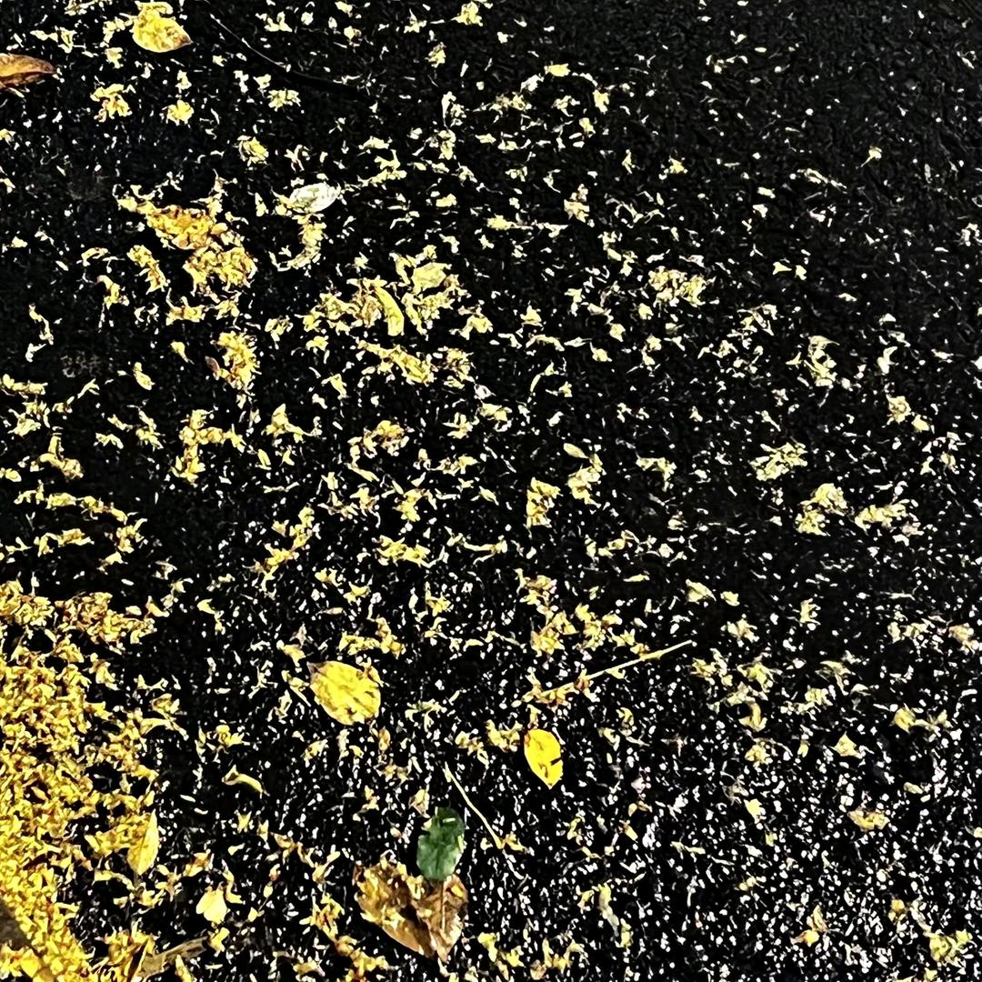 ‸
