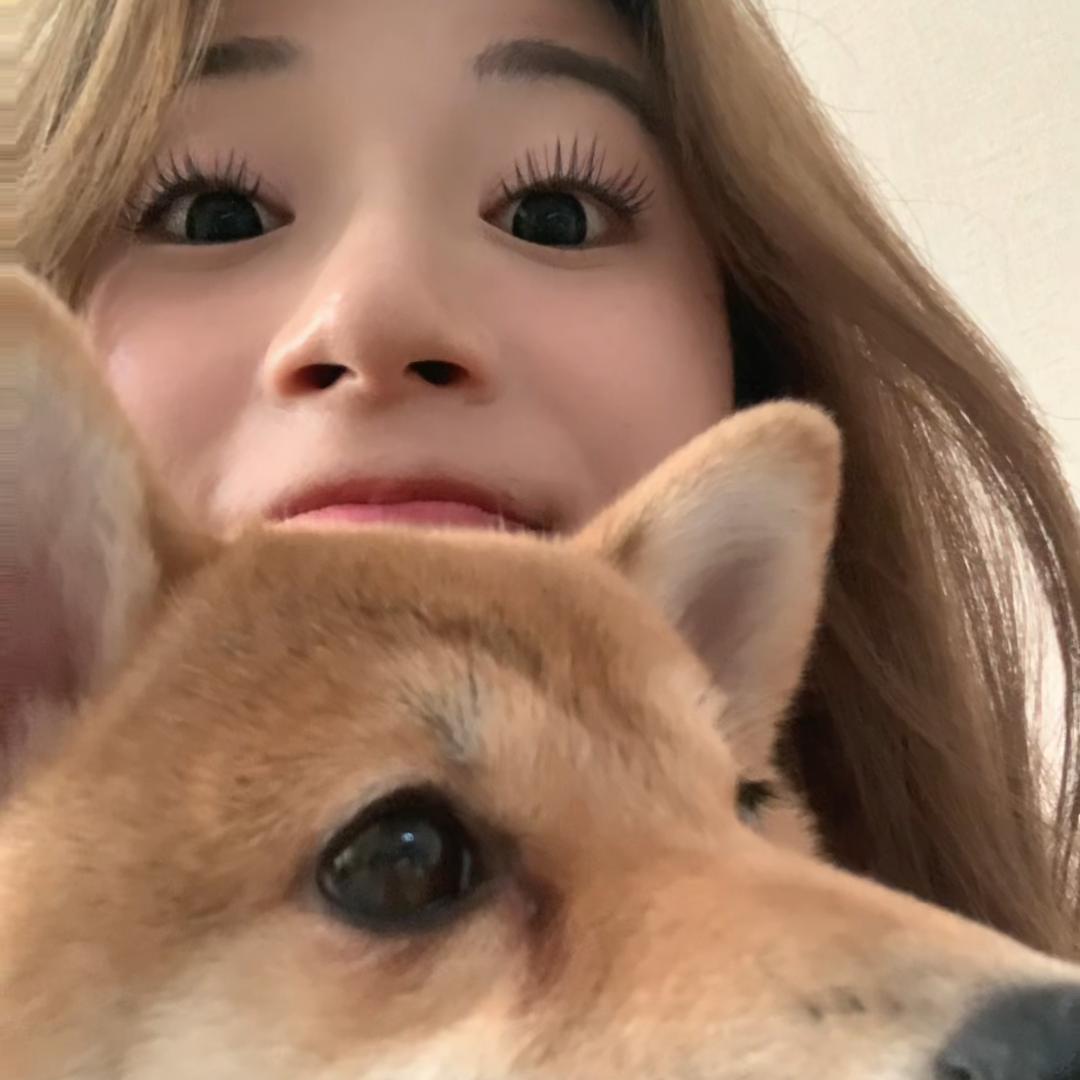 一条小小鱼🐟