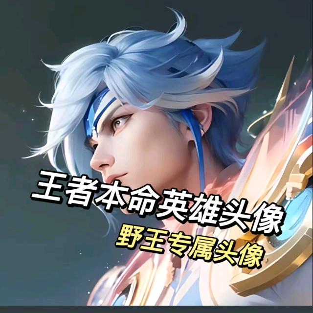 王者荣耀(小黄)