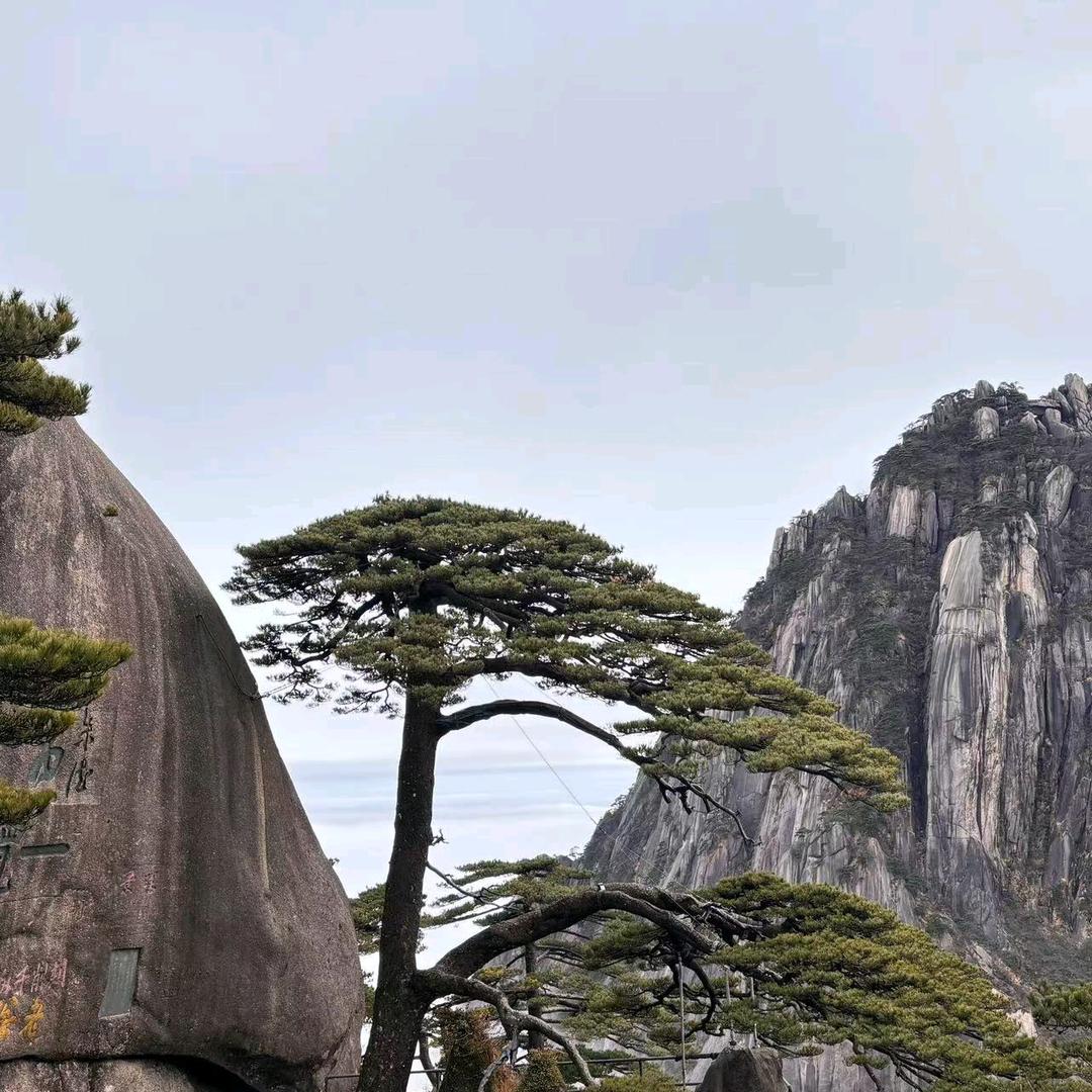 一生幸福