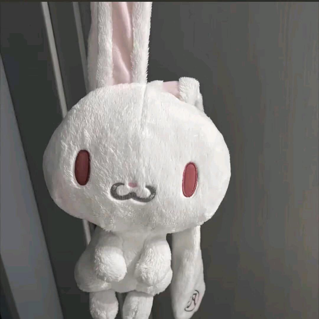 兔耳