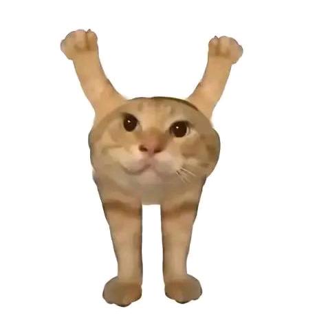 吃猪哥豆浆烩面