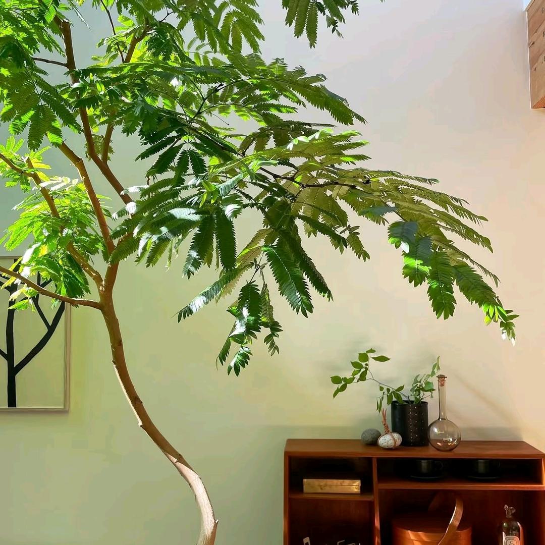 吃葡萄不吐葡萄皮