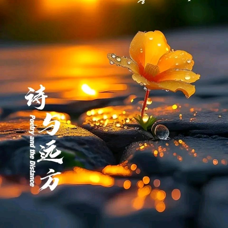 追曲