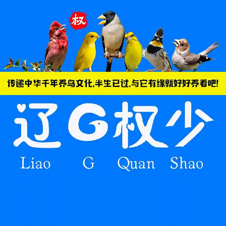 辽G权少「鸟用品」