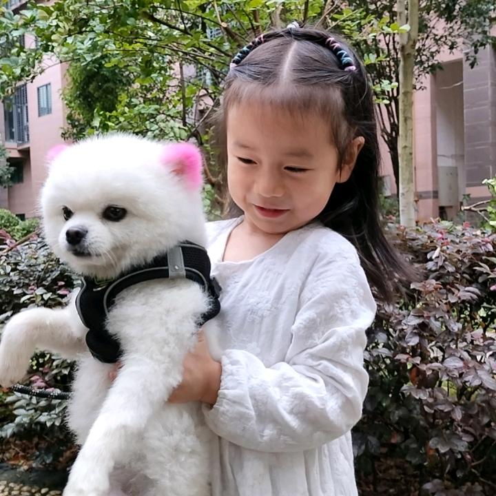 镜子6642391607755