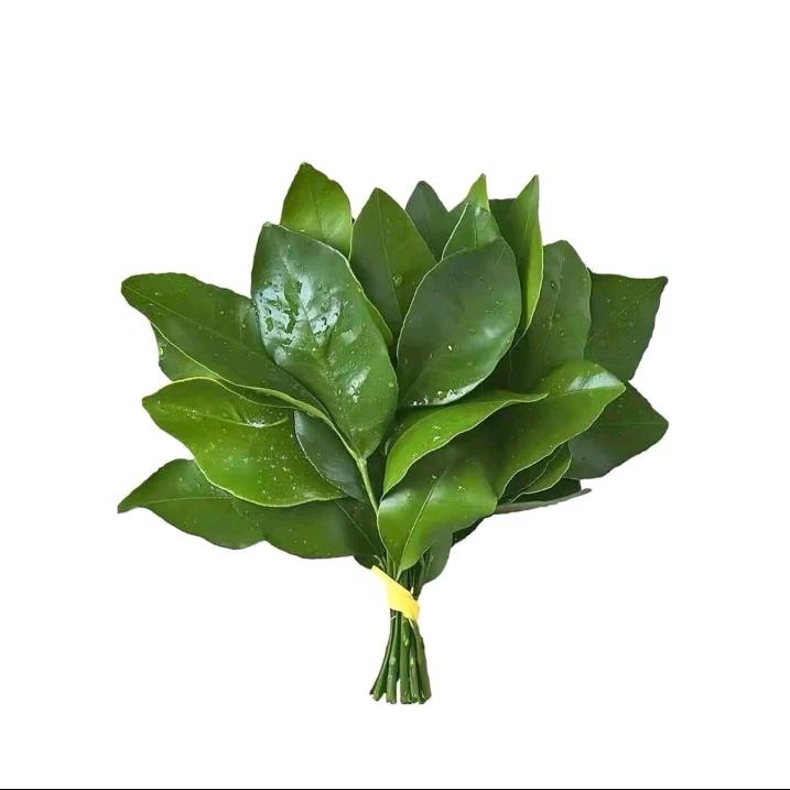 拾2