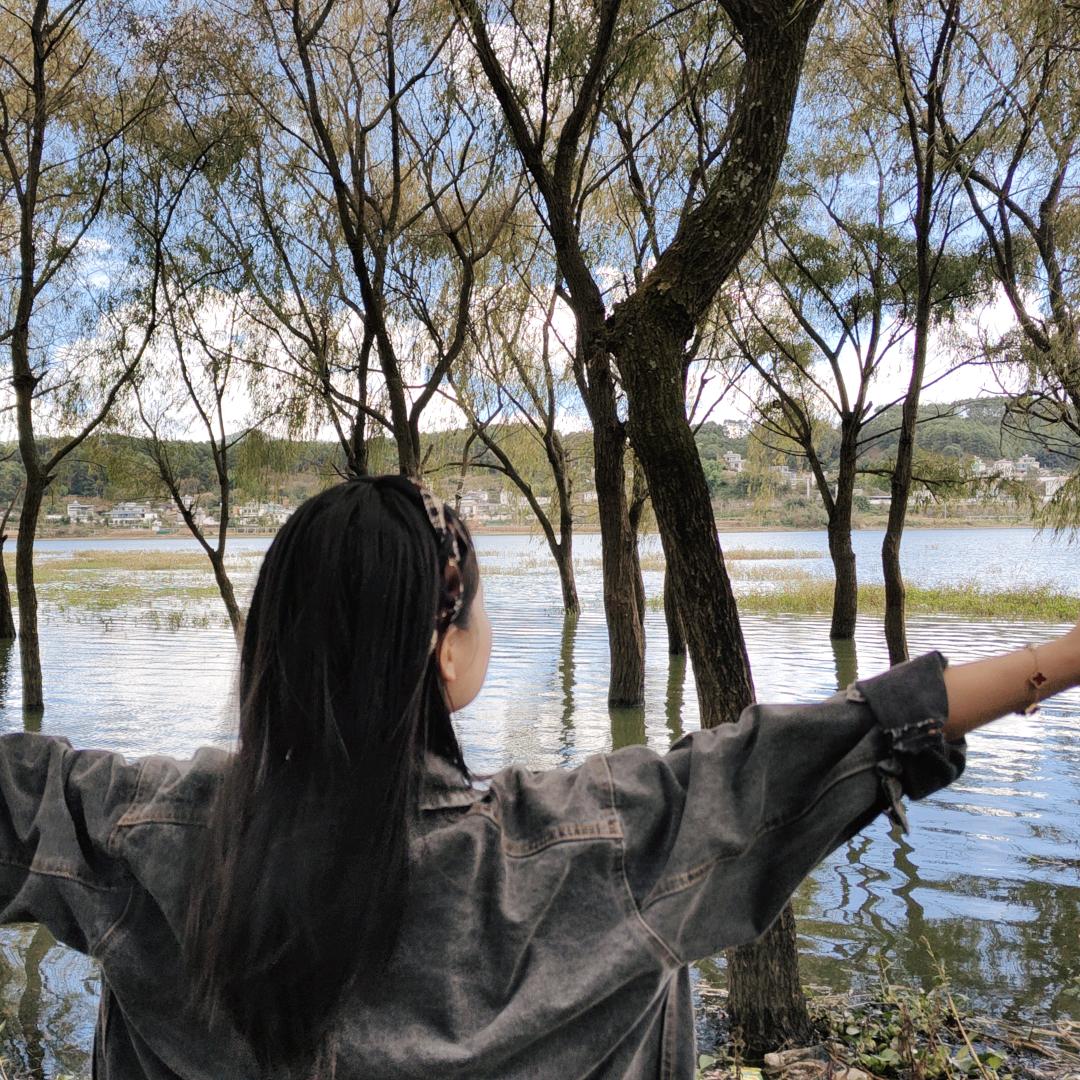 @茶搽搽(茶叶批发零售)