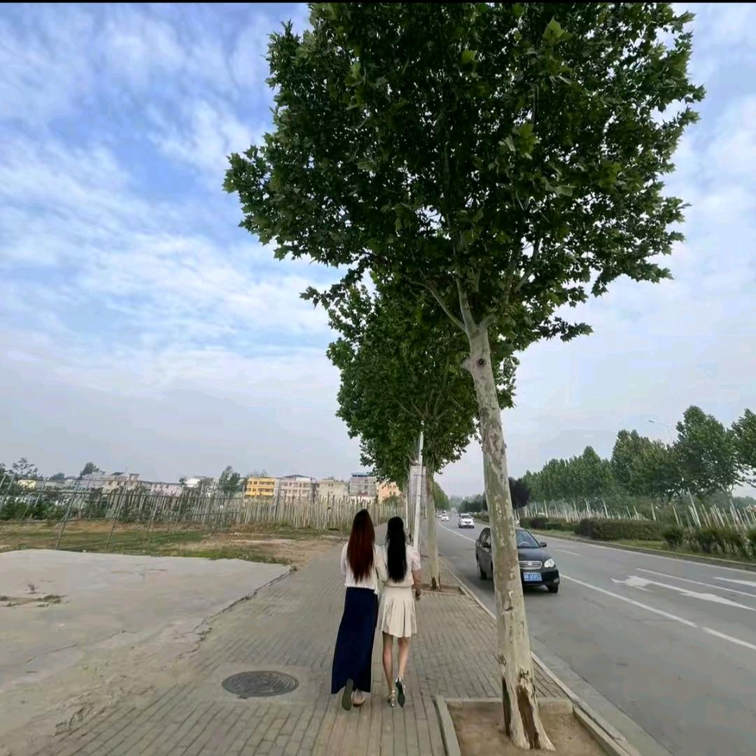 封心锁爱✨💕ꦿ᭄✨༉ᩚ᭄