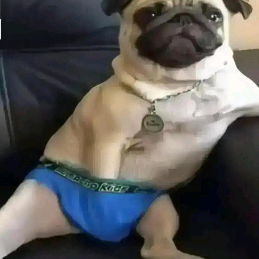 不好色，好什么