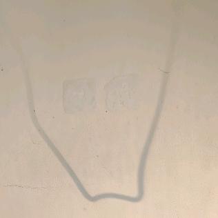 爱吃芦苇的螃蟹
