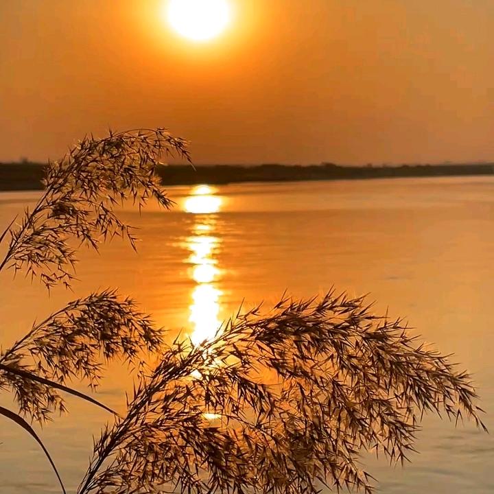 廊坊整荡官方号