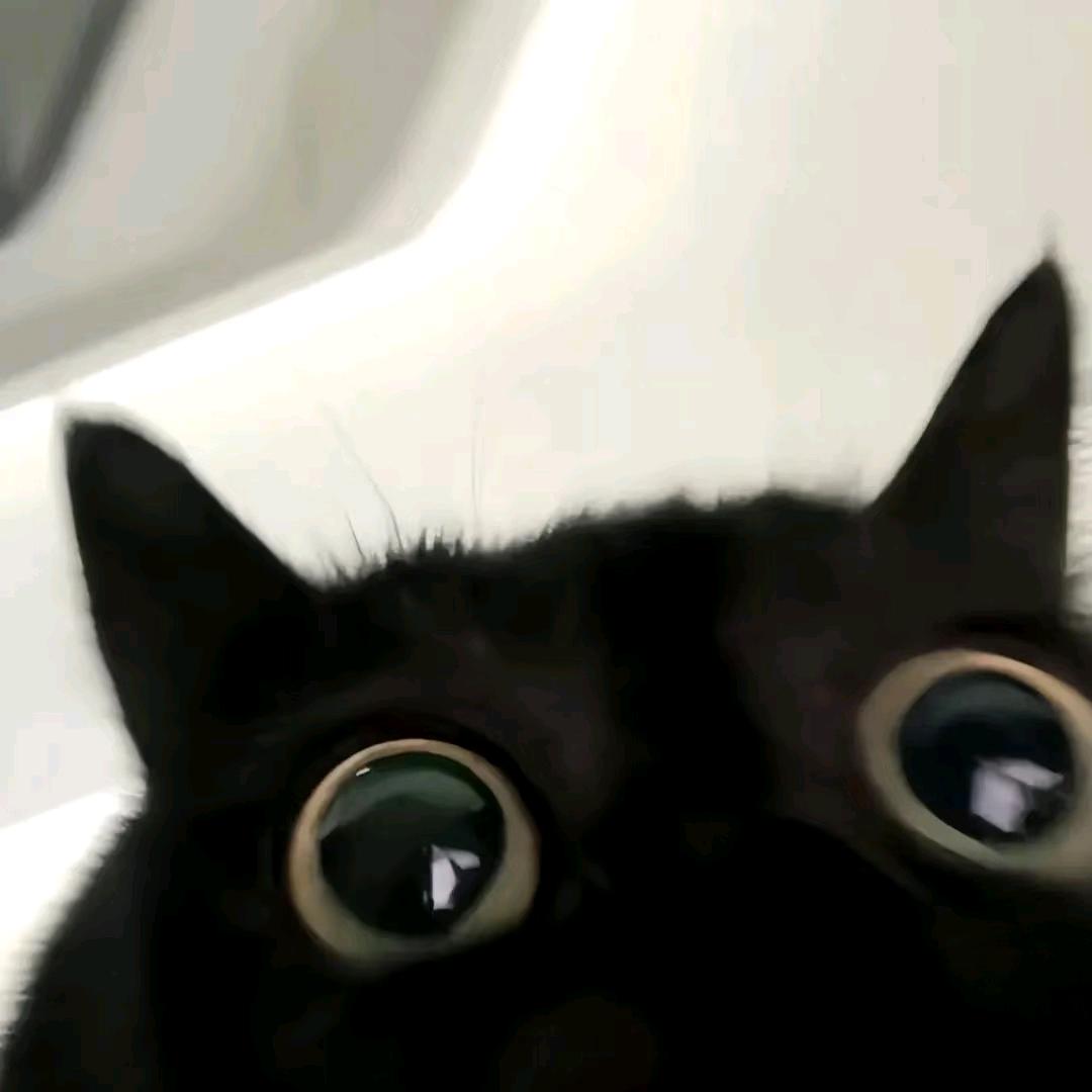 守口如瓶的帽子