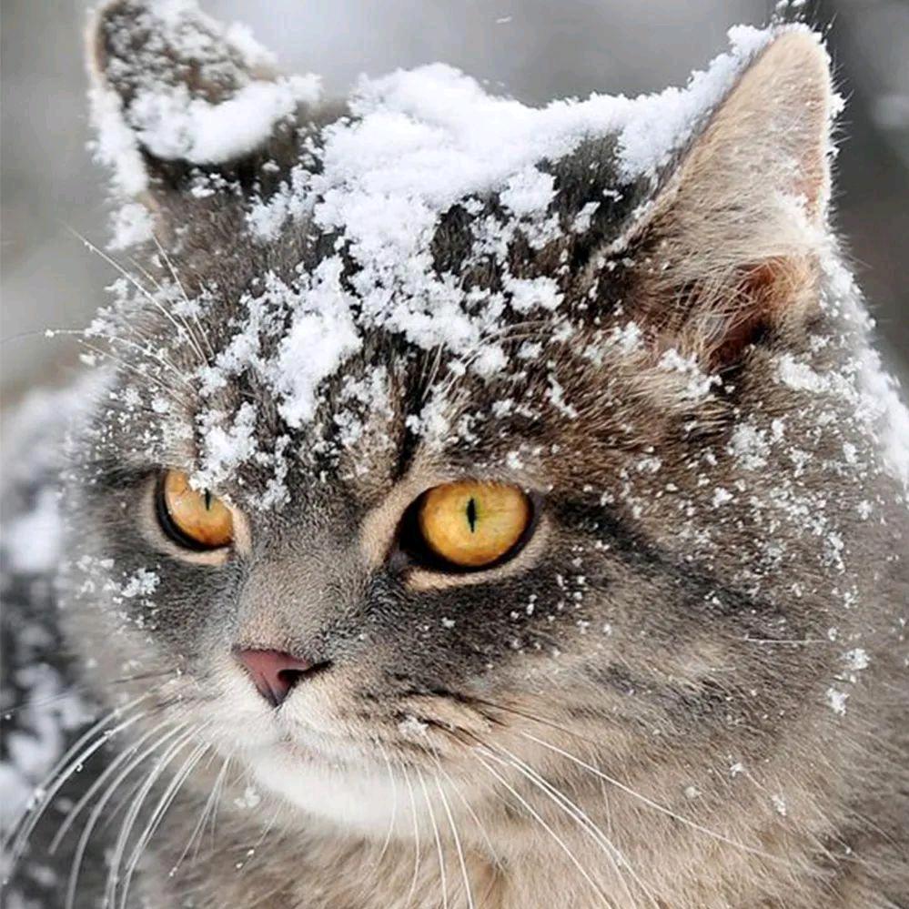 ☀️🗻命运善戏人