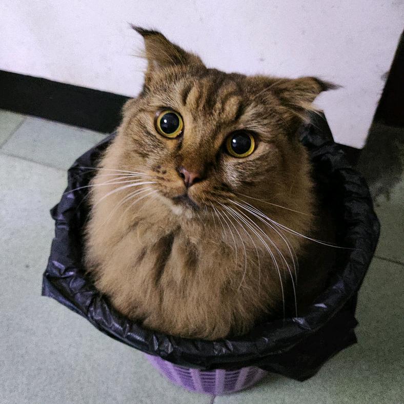 陪你看尽晚风