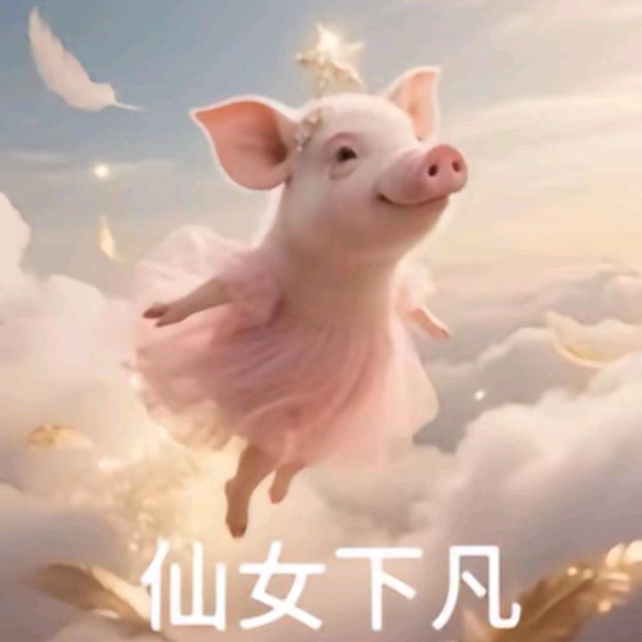 AAA空运鲜花张姐