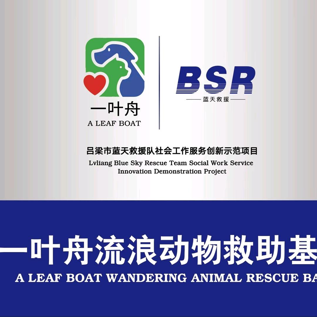 吕梁一叶舟流浪动物救助基地
