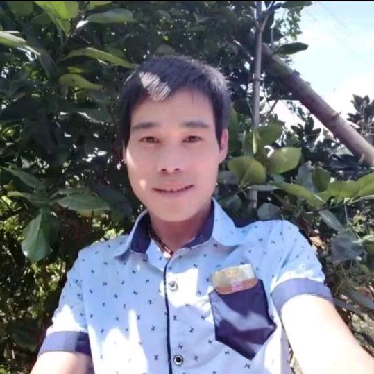 心如止水