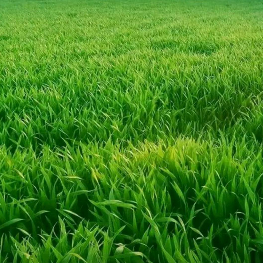 婷馨---(墙布，窗帘，软包，墙画）