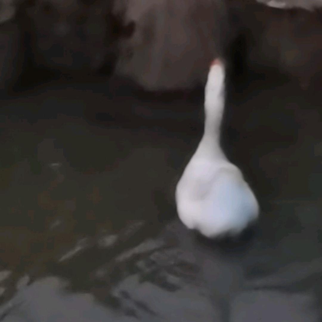 零零零