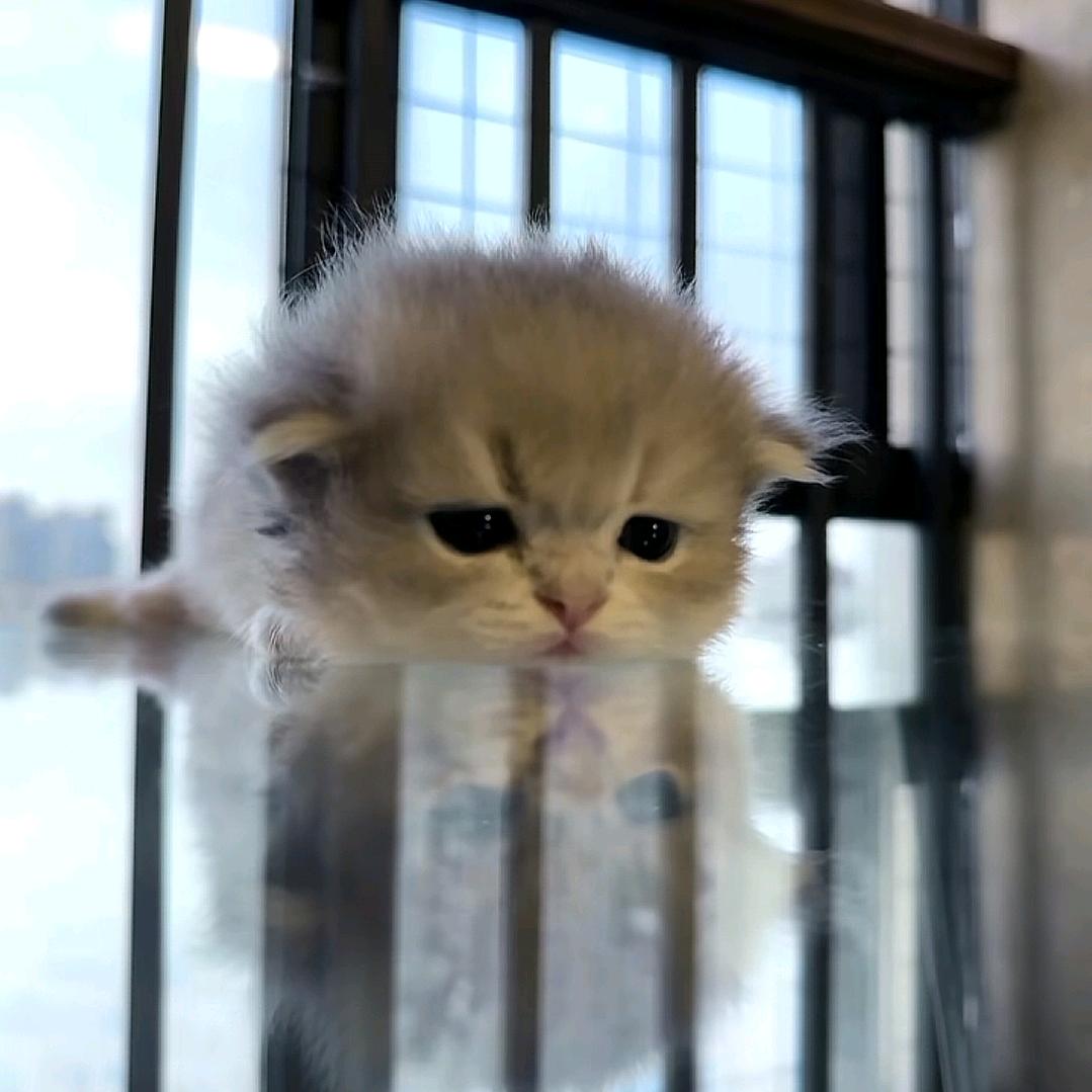 同心圆💭