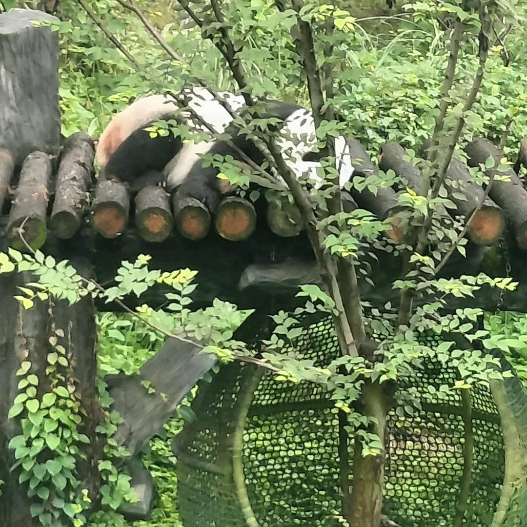 真诚