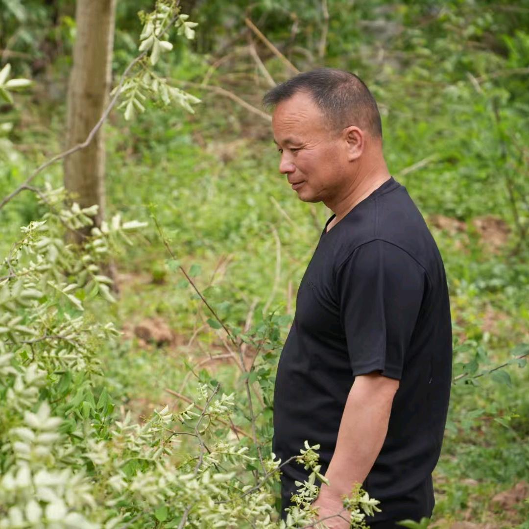 忆江南