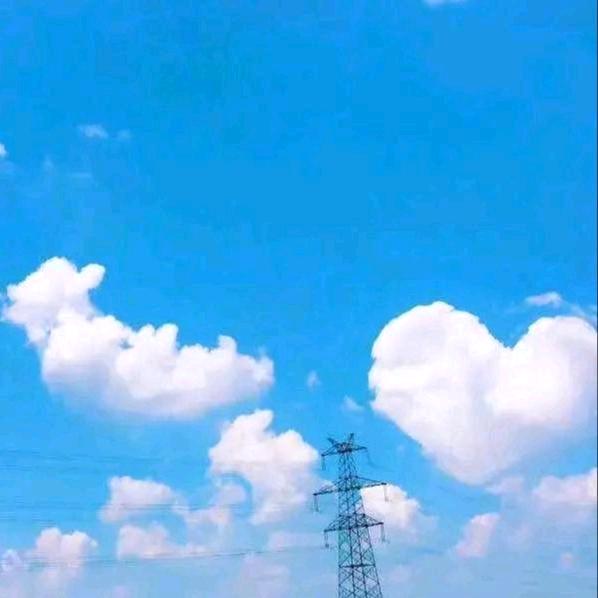 枫哥