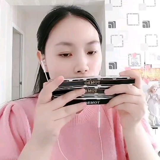 ✨心语琴音✨口琴